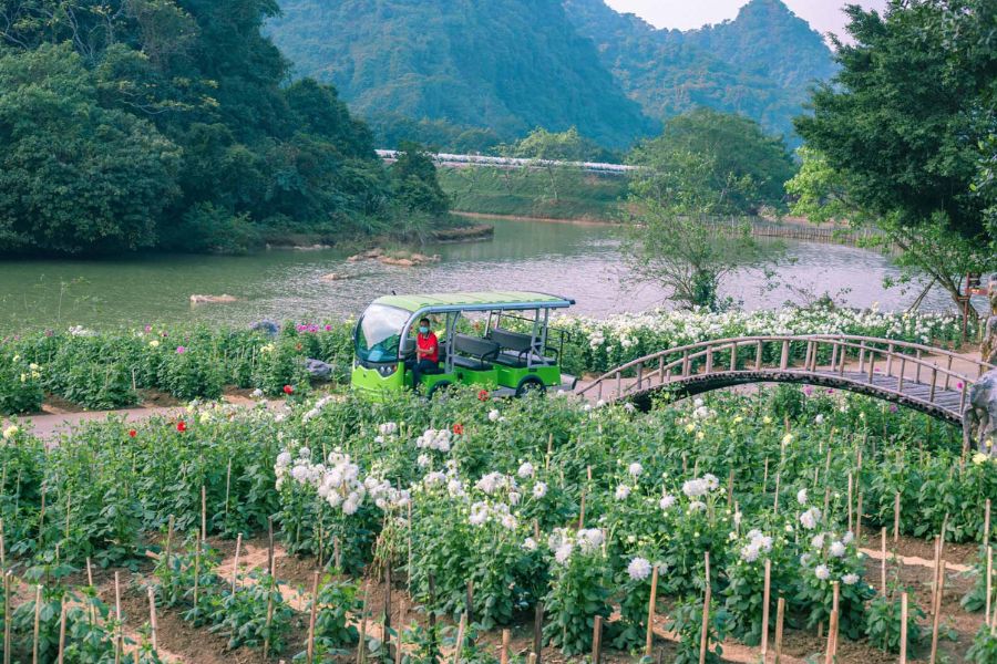 Thung Nham Bird Park