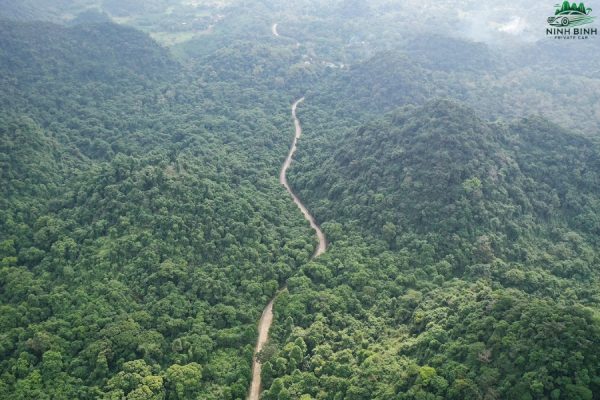 Cuc Phuong National Park Hiking - Ninh Binh Private Car