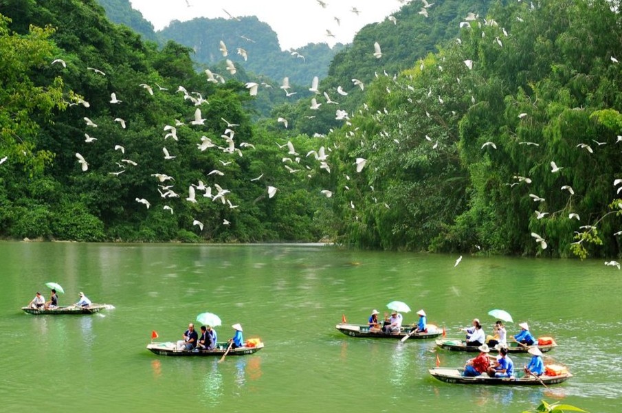 Summer in Ninh Binh - Ninh Binh Private Car