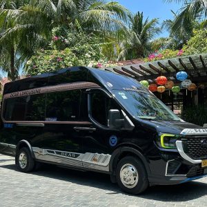 Ninh Binh To Tam Dao Luxury Car - Ninh Binh Private Car