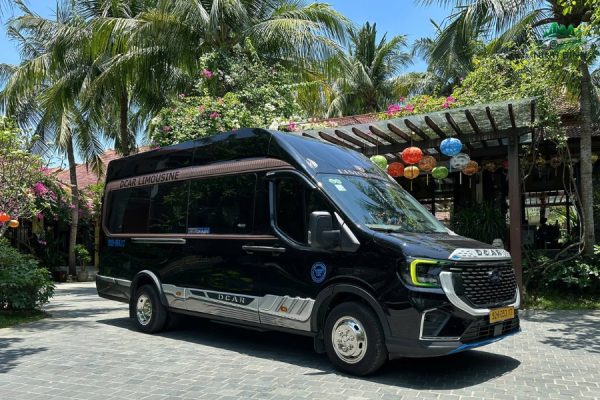 Ninh Binh To Tam Dao Luxury Car - Ninh Binh Private Car