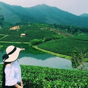 Luxury car Ninh Binh to Vinh - Ninh Binh Private Car