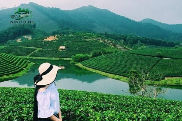 Luxury car Ninh Binh to Vinh - Ninh Binh Private Car