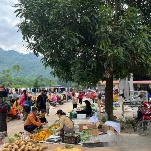 Ninh Binh to Na Meo Border Limousine - Ninh Binh Private Car