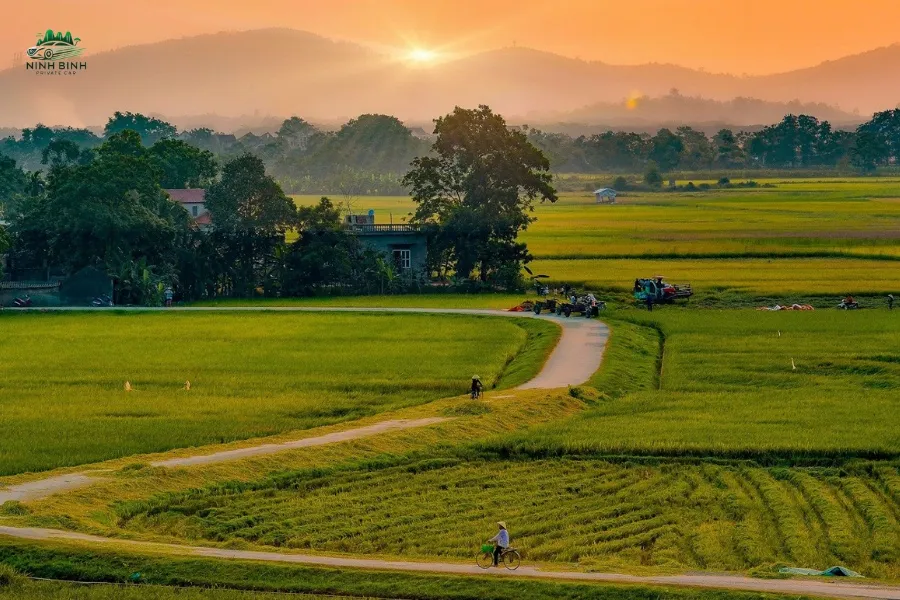 Scenic Rice Paddies & Rural Landscape - Ninh Binh Private Car