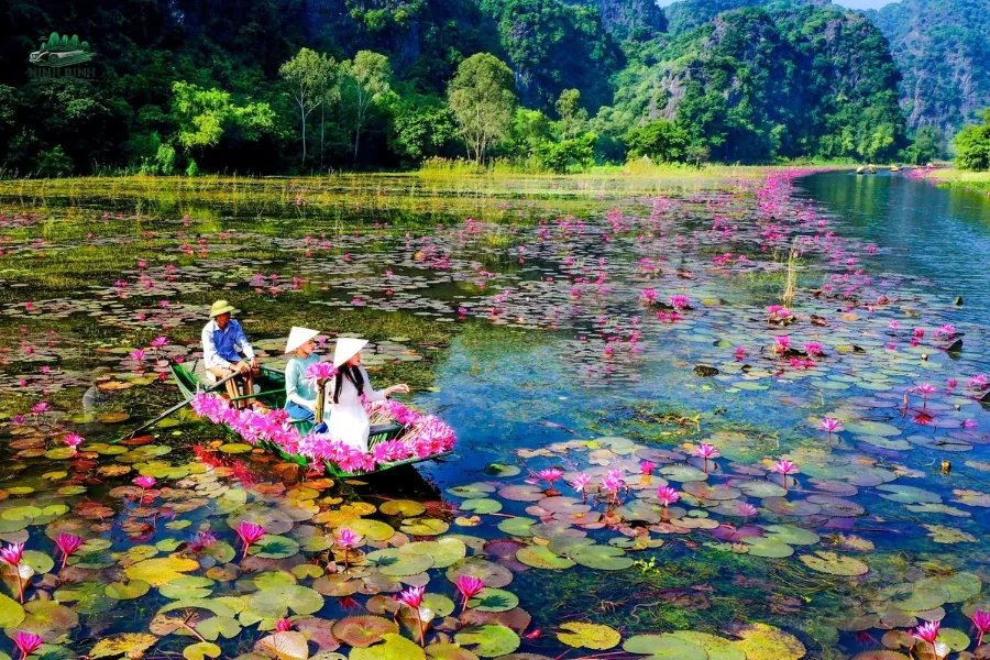 Ninh Binh Photography Spots - Ninh Binh Private Car