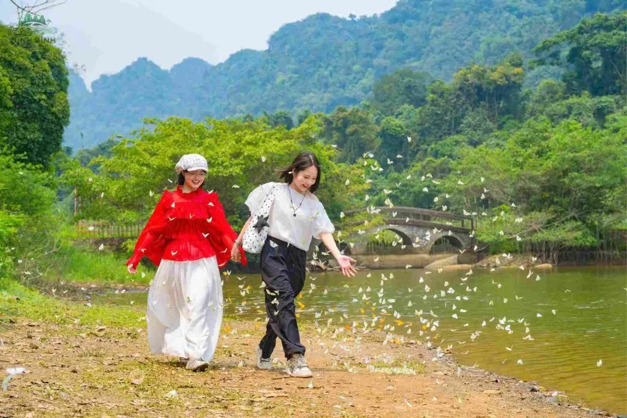 Cuc Phuong National Park - Ninh Binh Private Car