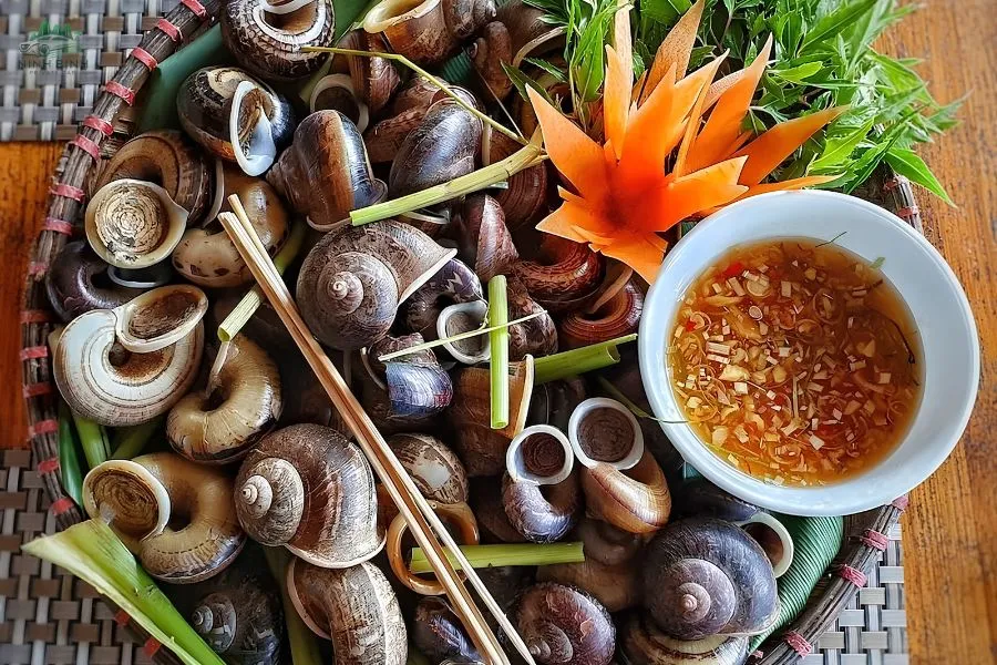 Boiled Mountain Snails - Ninh Binh Private Car