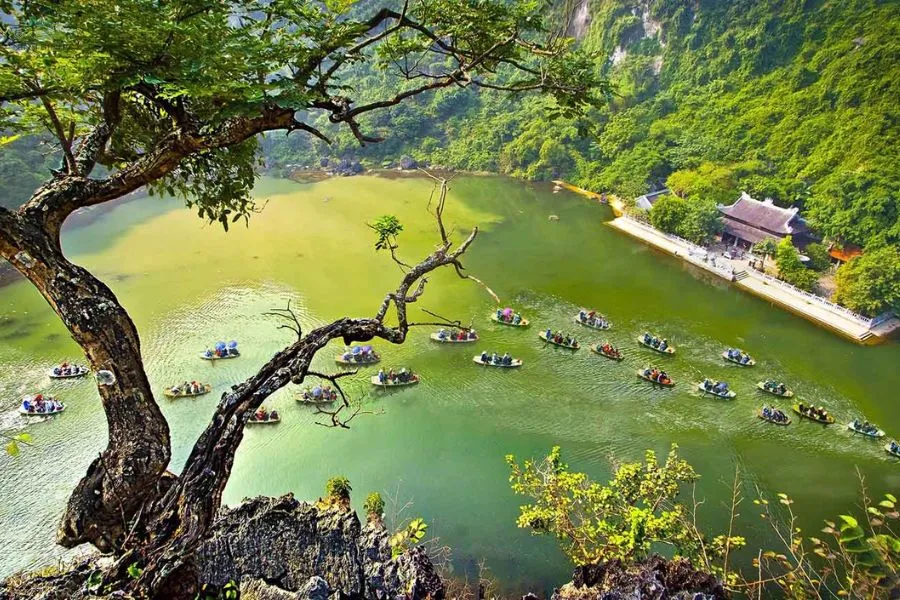 Trang An In Ninh Binh - Ninh Binh Private Car